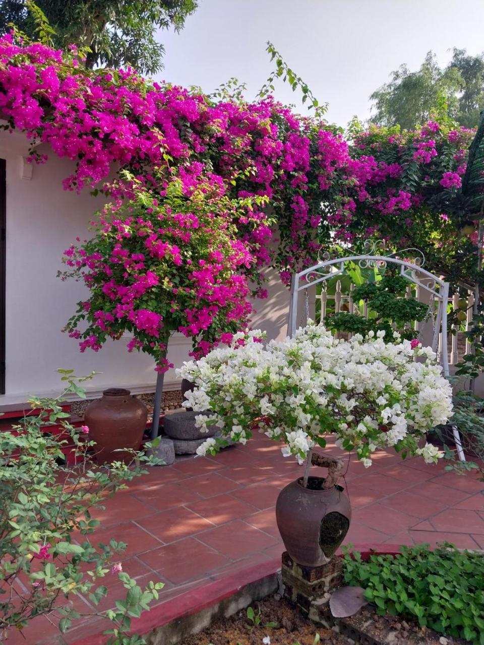 Nha Xanh Homestay Ninh Binh Esterno foto
