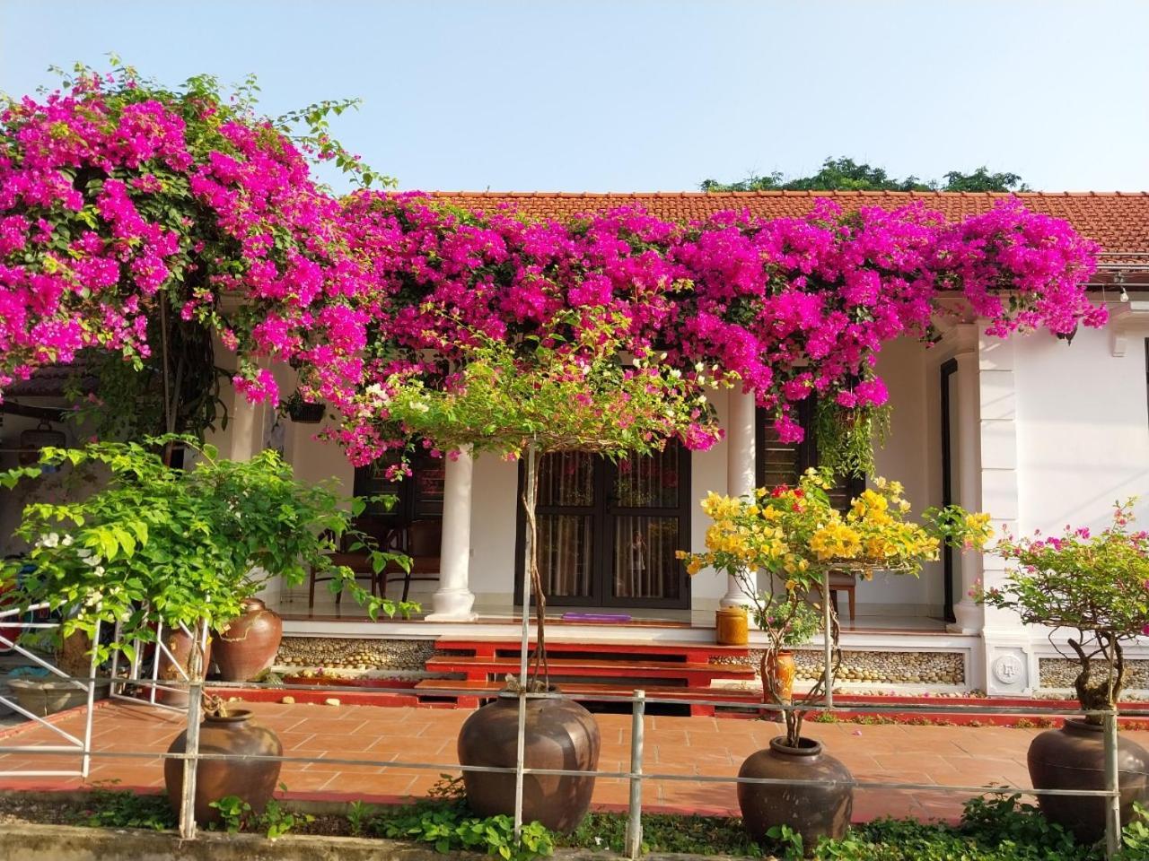 Nha Xanh Homestay Ninh Binh Esterno foto
