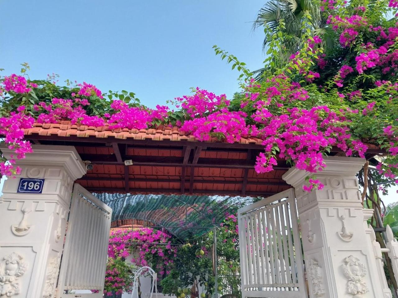 Nha Xanh Homestay Ninh Binh Esterno foto
