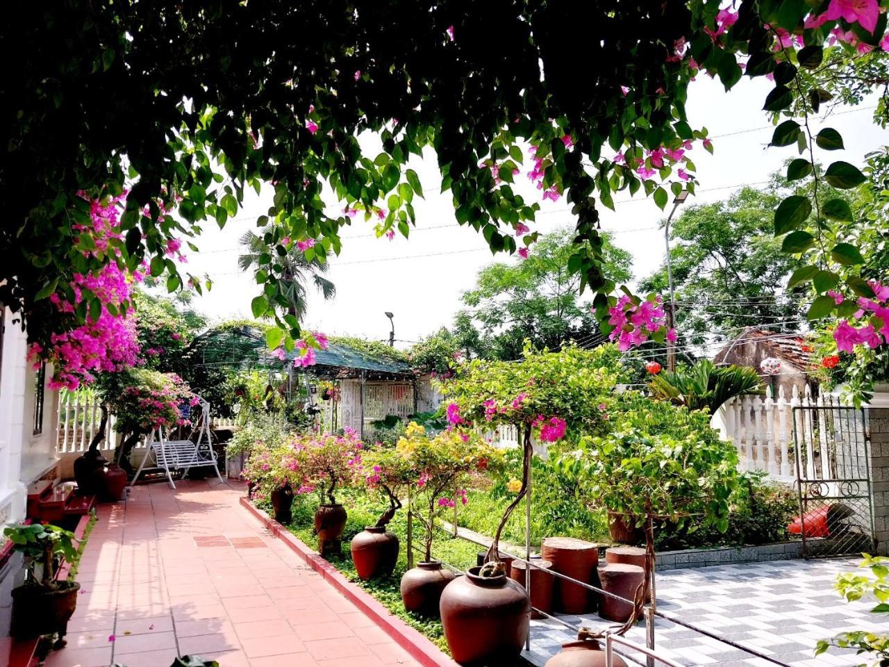 Nha Xanh Homestay Ninh Binh Esterno foto